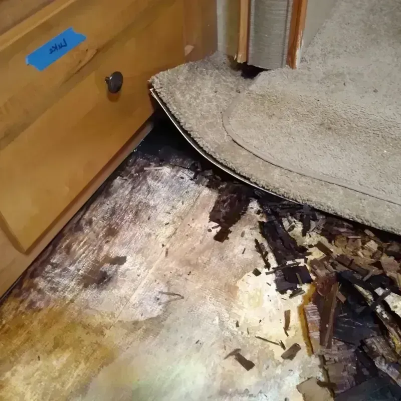 Wood Floor Water Damage in Saint Johns County, FL